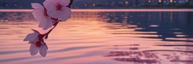 𝒯's banner