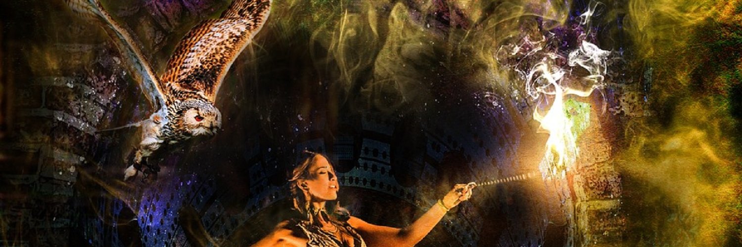 sara.art's banner