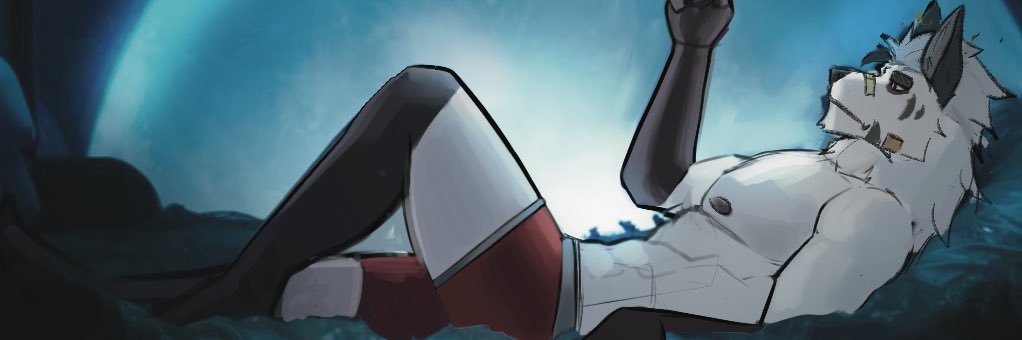 SleepySad狼猫🌙💤's banner
