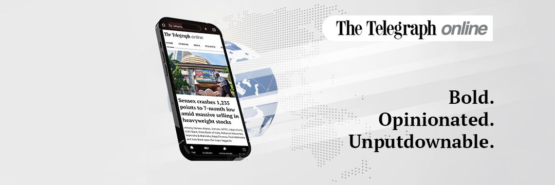 The Telegraph's banner