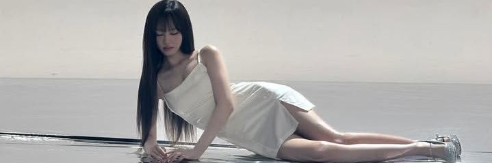 양배추's banner
