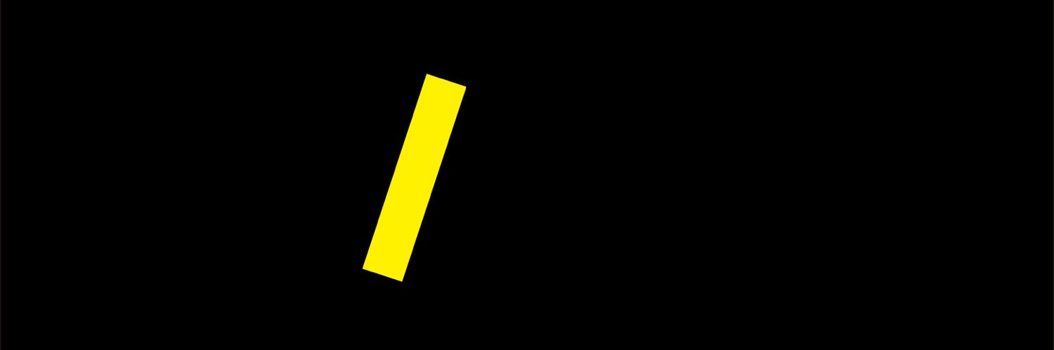 VI/NYL's banner