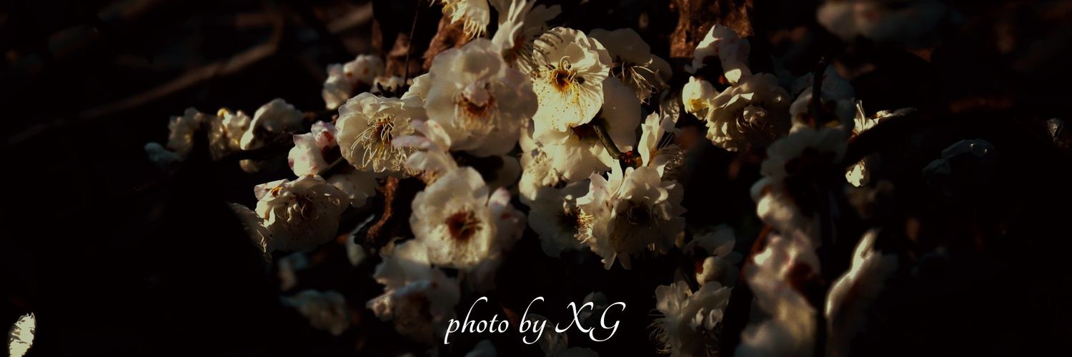 午言's banner