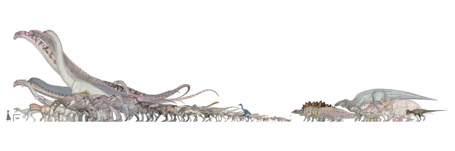 Spinoりん's banner