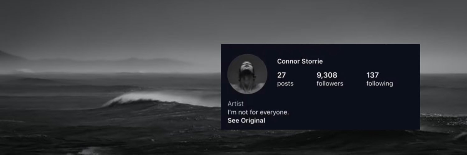 ž's banner