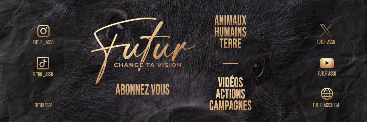 FUTUR's banner
