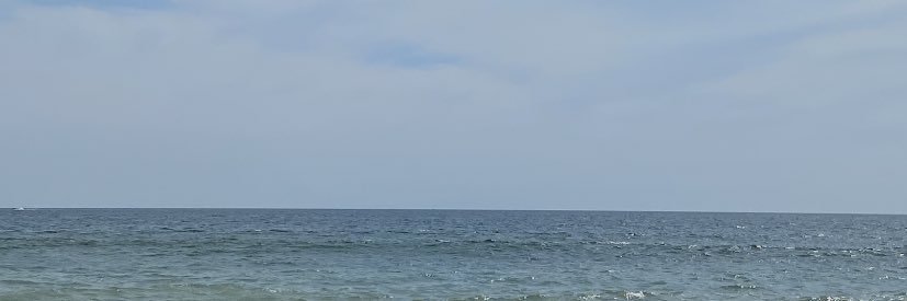 ひめい's banner