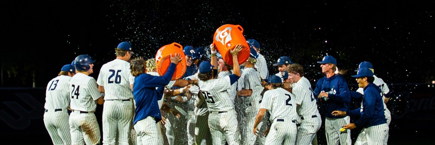 UC Davis Baseball's banner