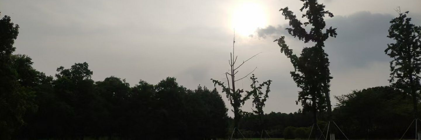 ♠️Athena Queen's banner