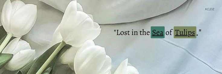 jash.'s banner