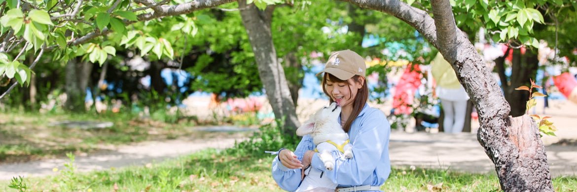 安藤まい🐶DMMぱちタウン's banner