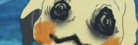 HAYLIEKYU's banner