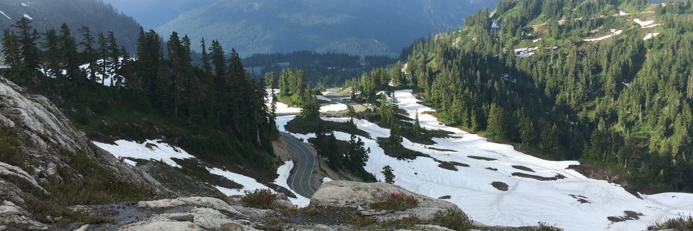 Washington State DOT's banner