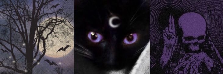 vamperry !! 😈🧛🏻‍♀️'s banner