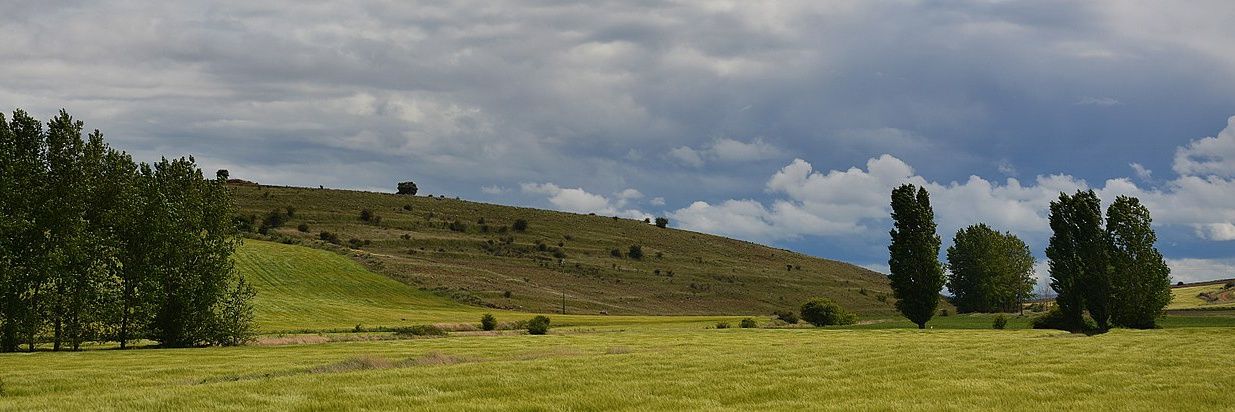 El Barón's banner