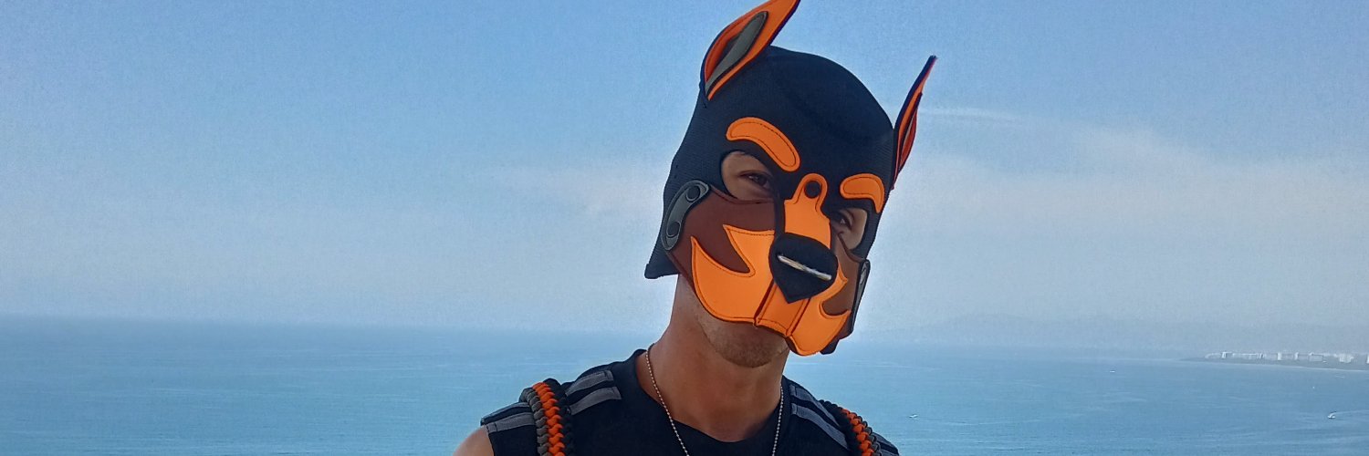 KACHI THE PUP🐾's banner
