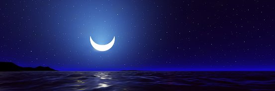 Micaela's banner