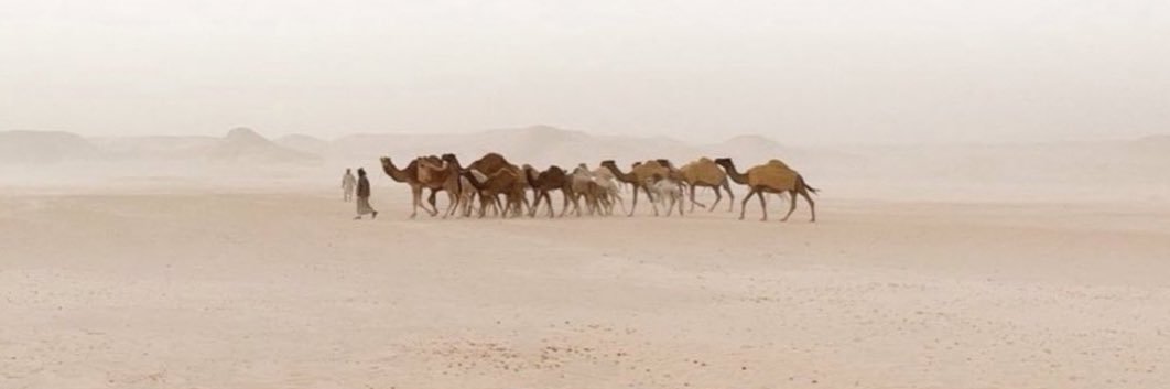 العـاهل's banner