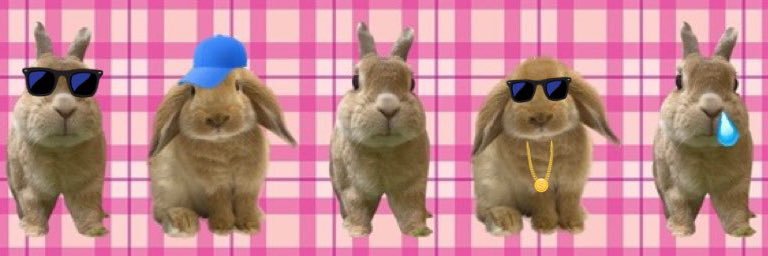 🐰チョパチョコ日記🐰's banner