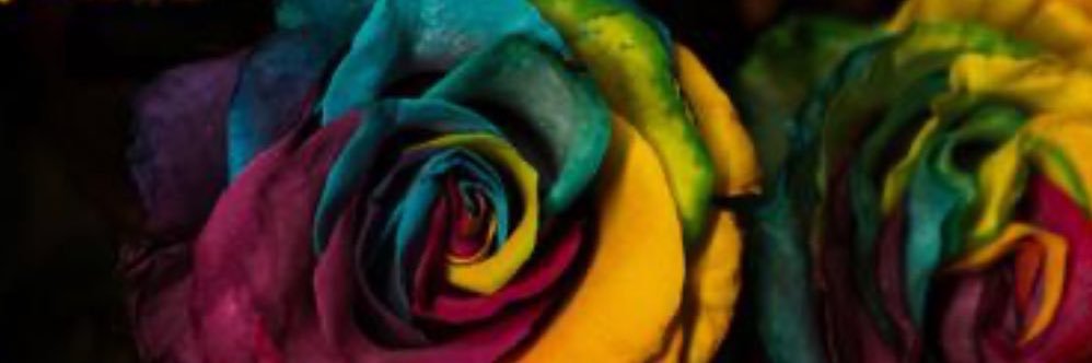 dr. alicia andrzejewski (she/her)'s banner
