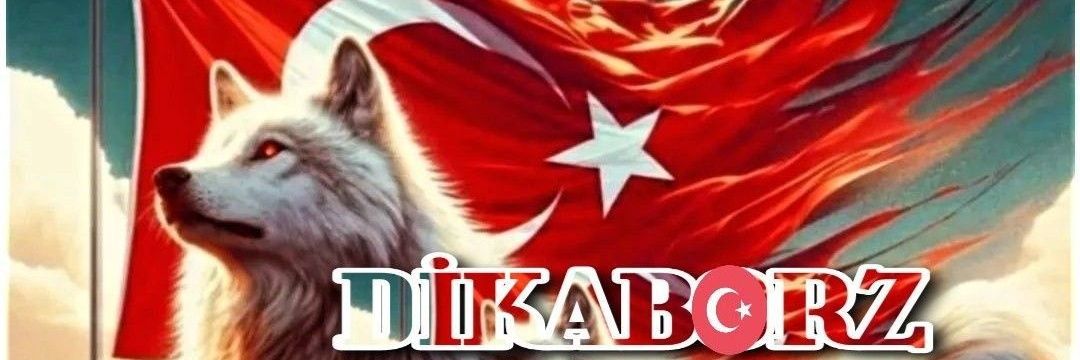 DİKA𓃦 BORZ's banner
