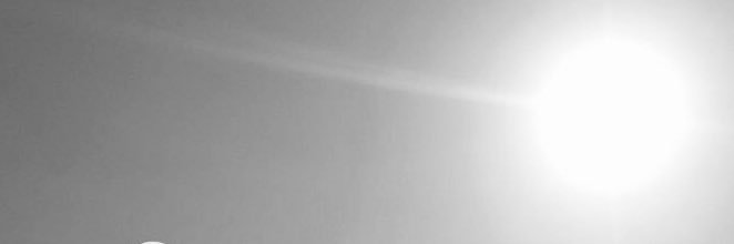 scar's banner