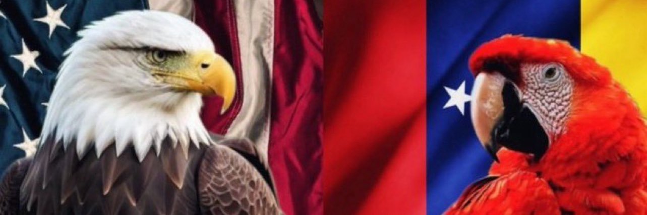 🇻🇪Josefina Alvarez🇻🇪's banner
