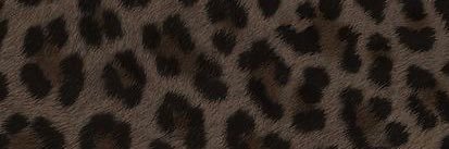 ✩ nahri ✩'s banner