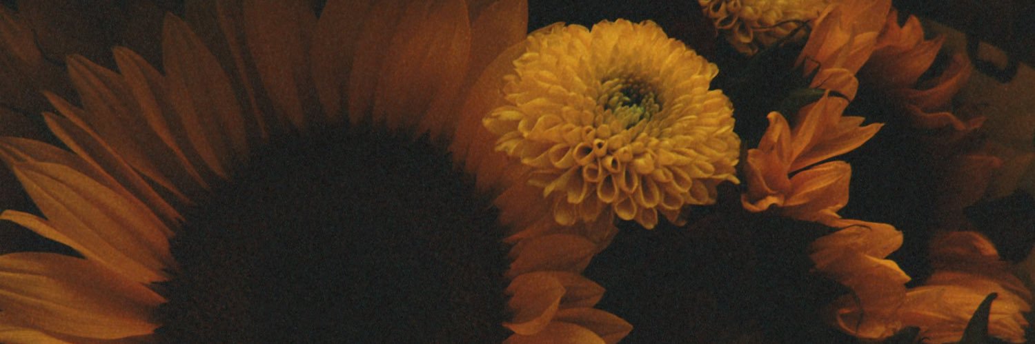 bestthadbluehair's banner