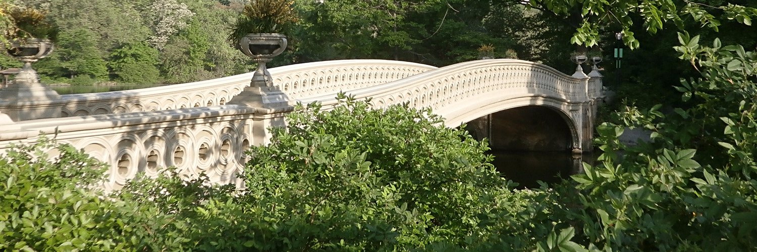 Manhattan Bird Alert's banner