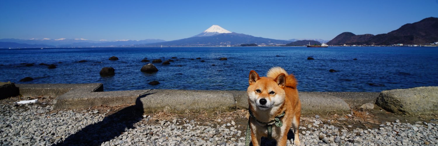 チビ柴小次郎's banner