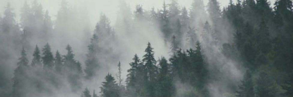 Titania's banner