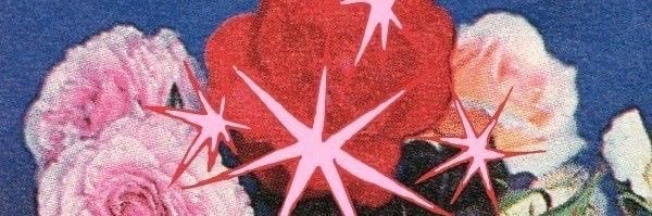 sabel's banner