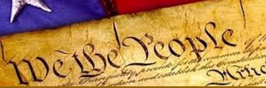🇺🇸 ROOSTER 1776 🇺🇸's banner