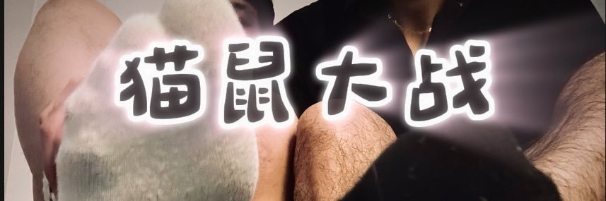 猫鼠大战's banner
