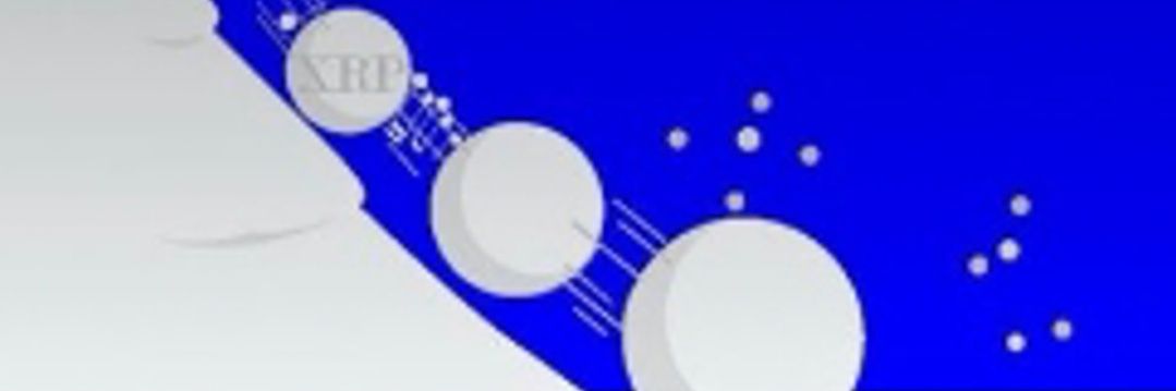 XRPee's banner