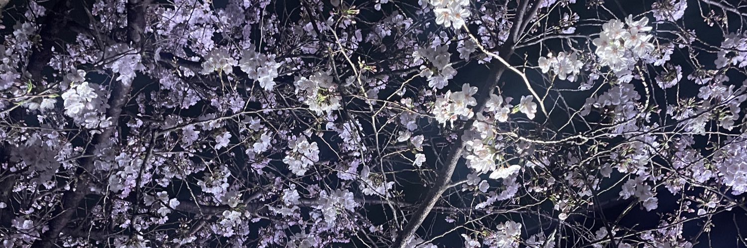 サクラ🌸🍥🐥's banner