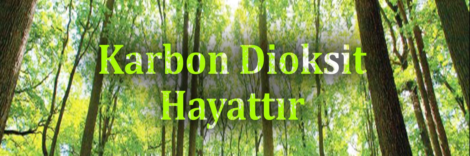 Düz Gerçekler Türkiye's banner