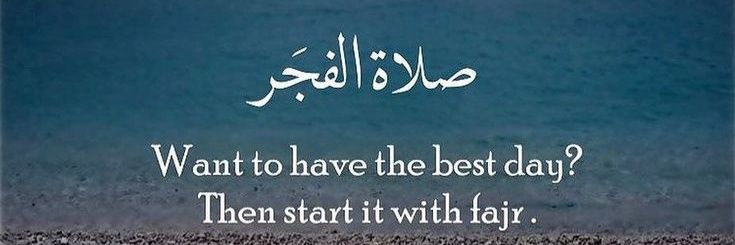 Farida's banner