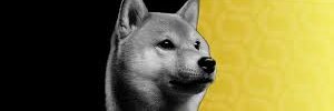 DD❤️/🕊️/DOGE's banner