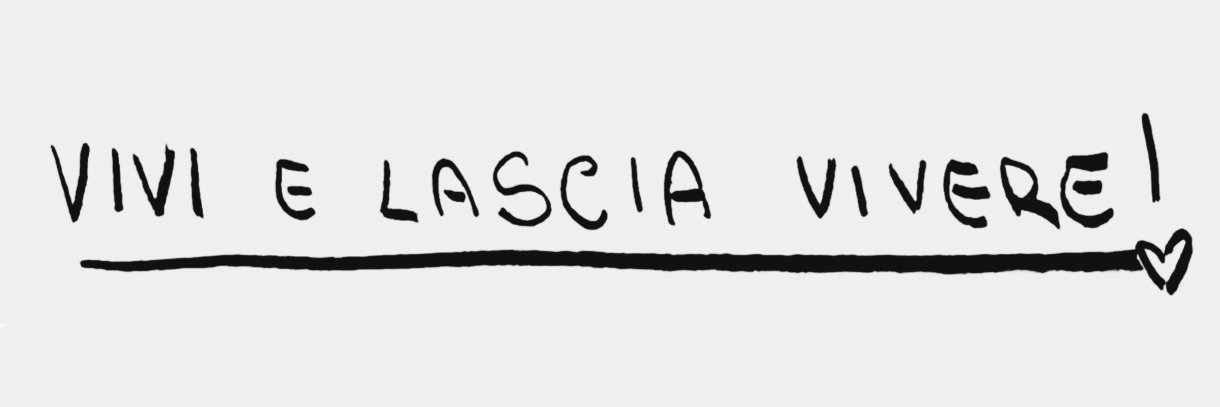 La Viscontina's banner