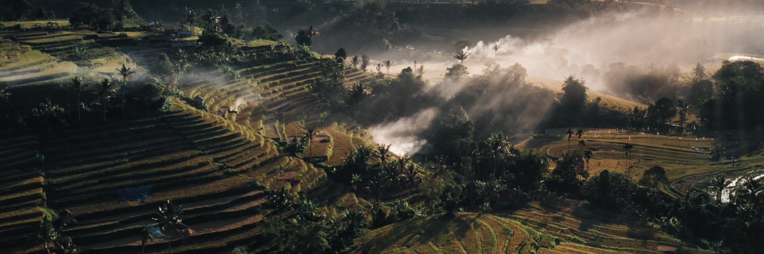 Q U A N T U M T E M P L E's banner