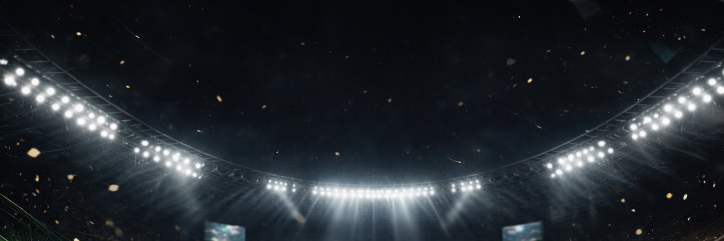The Footy Section's banner