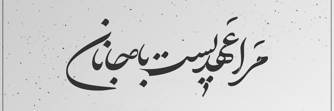 مینا رشیدی's banner