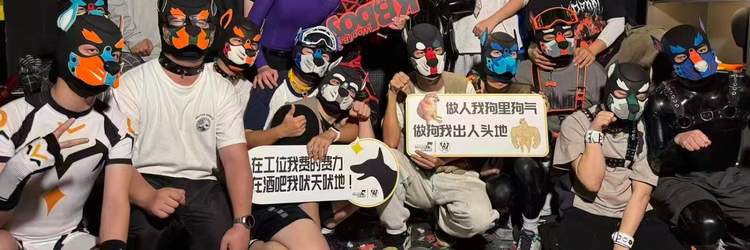 枸杞Wolfberry's banner