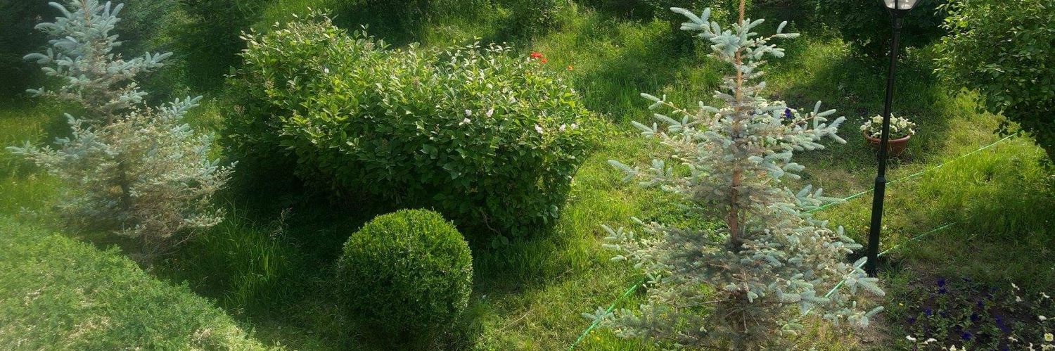 Эрдэнэчимэг Лувсан's banner