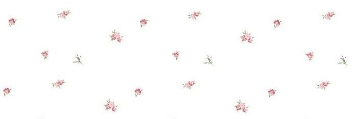 Nori 𐙚's banner