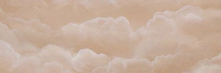 ° thea 🐺's banner