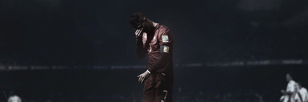 furry 🇵🇹's banner