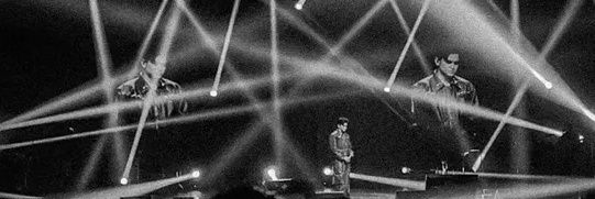 𝐰 🐬 (lurker era)'s banner